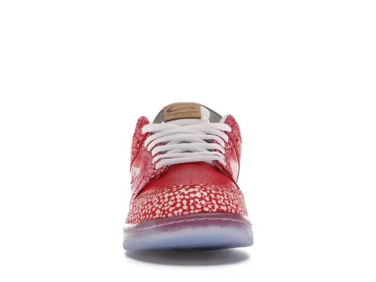 Nike SB Dunk Low Pro x Stingwater Magic Mushroom parte delantera